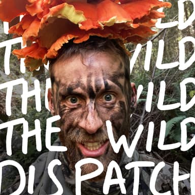 The Wild Dispatch